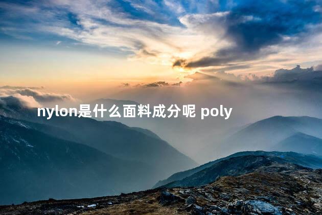 nylon是什么面料成分呢 polyester什么面料成分